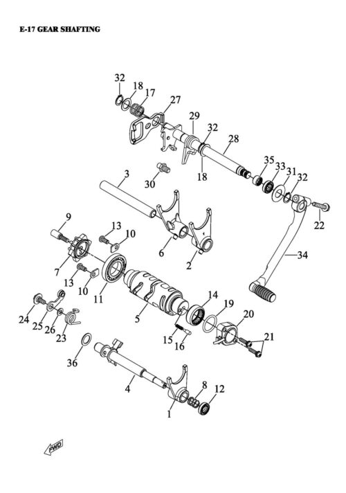 Girsystem (ACCESS 450)
