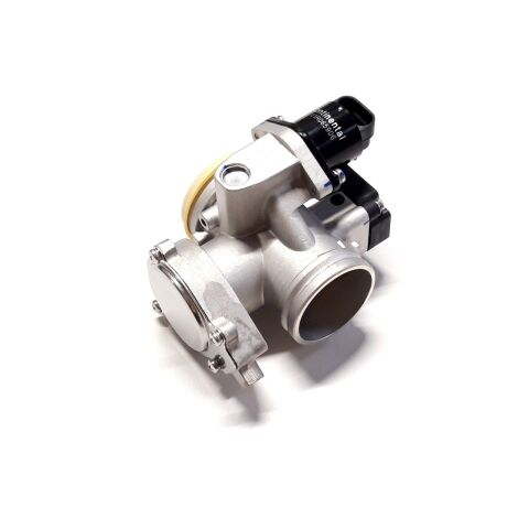 THROTTLE BODY